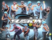 Posters - 2016 Lehigh Baseball Collage