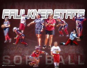 Print - 2015 Faulkner State Softball Collage