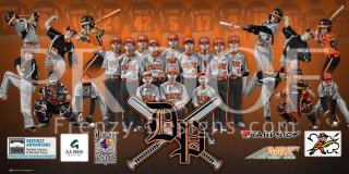 Banner - 2017 Dream Park Baseball Organization