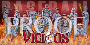 Banner - Oklahoma Redbirds Baseball Team