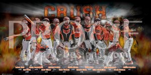 Print - 2016 Orange Crush Baseball Team