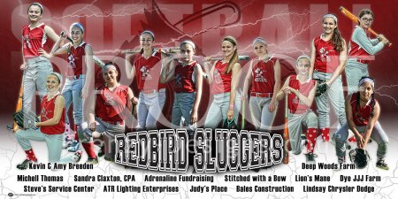 Print - Redbird Sluggers Softball Team