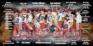 Print - Diamond Elite Black 12U Baseball Team
