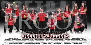 Print - 2017 Redbird Sluggers Baseball Team