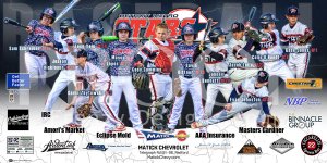 Print - 2017 Detroit Metro Stars Baseball Team