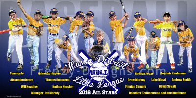 Banner - 2017 Mason District All Stars Baseball Team