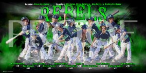 Print - Michigan Rebels Baseball Team