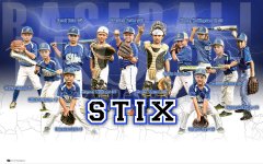 Print - 2017 STIX Baseball Team
