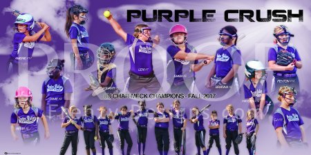 Print - Purple Crush Softball Team