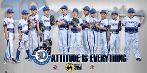 Print -  Dynasty Houston Baseball Team