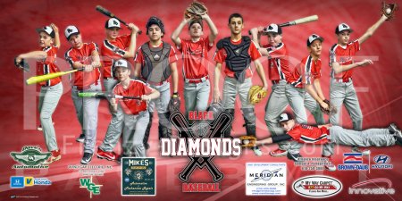 Print -  2019 Black Diamonds Baseball
