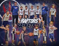 Print - Raptors Basketball Collage