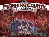 Collage - Pershing County Volleyball