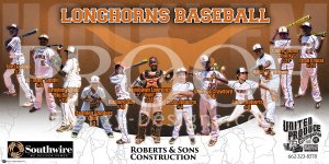Banner - Starkville Longhorns Baseball Team