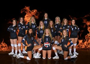 Banner - Decatur Lady Eagles Volleball Team