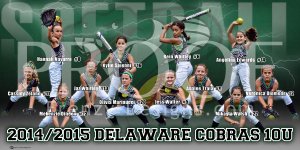 Print - Delaware Cobras Softball Team