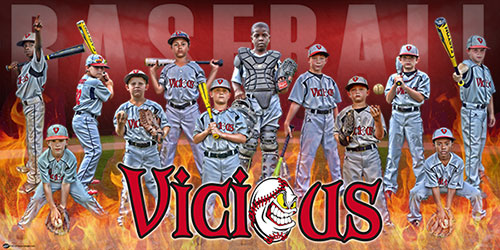 Personalized Baseball Banner - Vicious Baseball