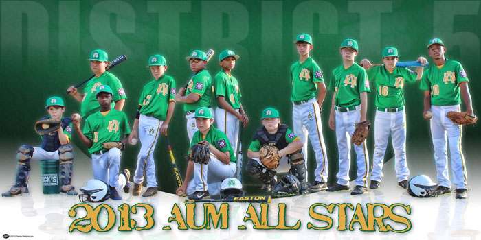 Custom Baseball Banner - AUM All Stars - Frenzy Designs